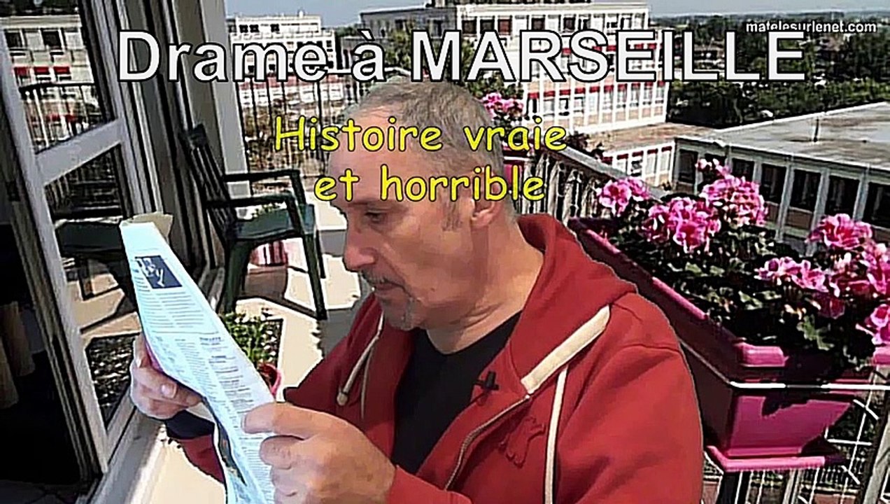 Drame à Marseille - Animal sauvage sans surveillance.