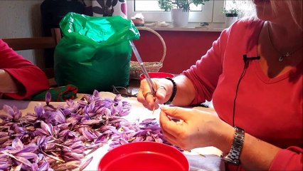 De l'or rouge dans un champ de Longeville-lès-Saint-Avold