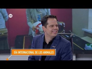 Importancia del cuidado de las mascotas; explica Héctor Walvor