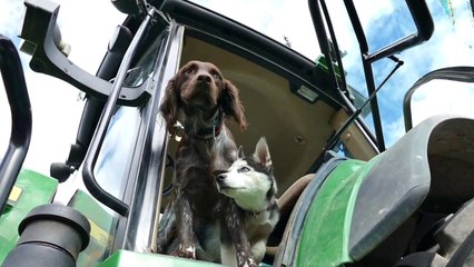 Mobilisation des agriculteurs : la journée en images dans le Haut-Rhin