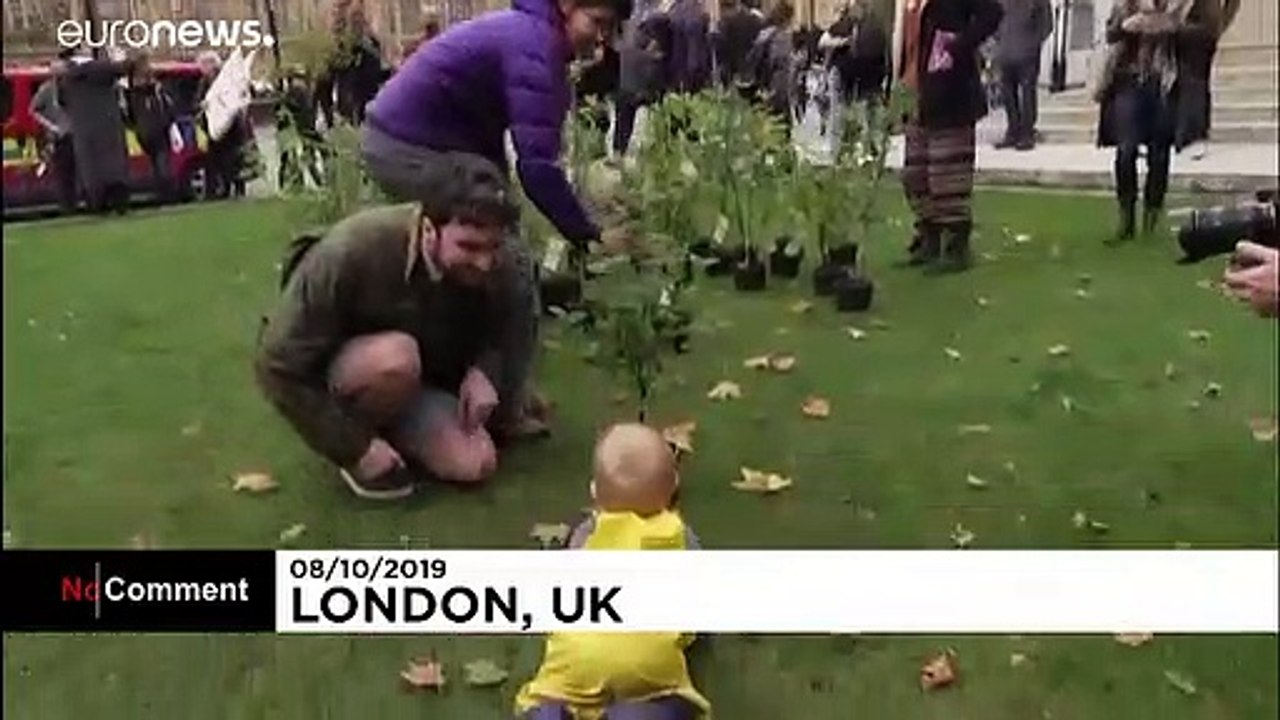 Umweltaktivisten stellen Politikern Hunderte Bäumchen vor die Nase