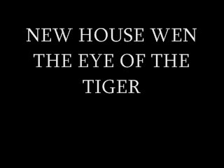 The eye of the Tiger