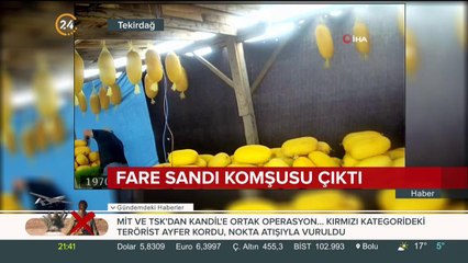 Fare sandı komşusu çıktı