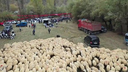 Koç katımı töreni renkli görüntülere sahne oldu - SİVAS