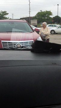 Having a Honking Good Time