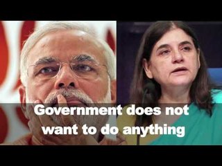 SC: Centre Does Not Care for Widows