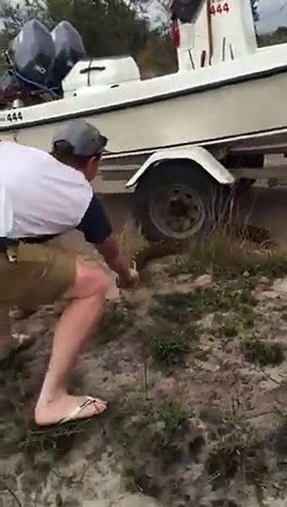 Cet énorme Python veut rentrer dans une voiture ! Serpent