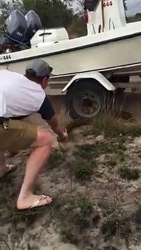 Cet énorme Python veut rentrer dans une voiture ! Serpent