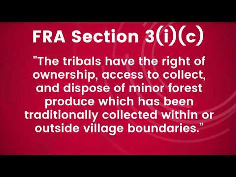 MP Forest Dept Violates Norms
