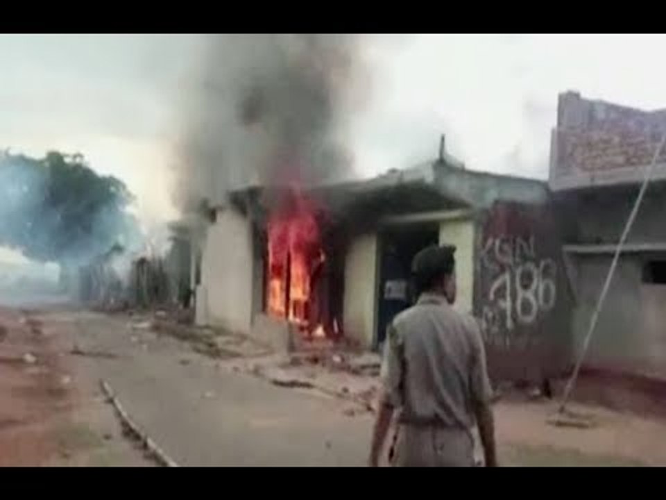 Mob Attack Over Dead Cow