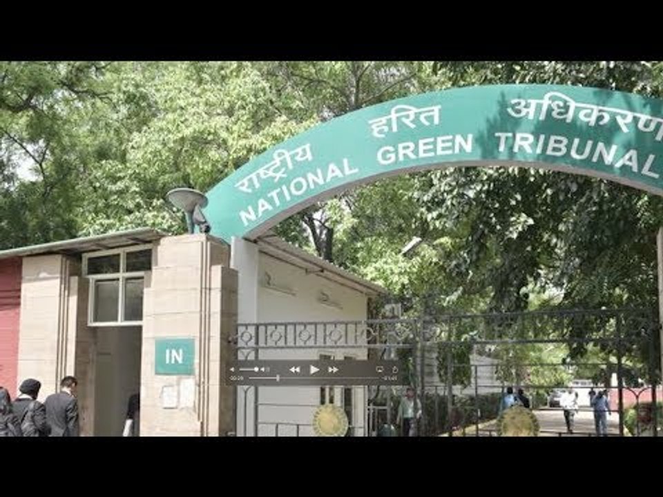 Centre Clips NGT's Wings