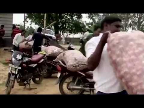 Onions Chopped By Prices