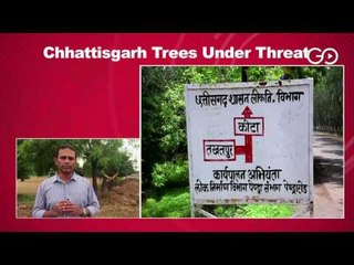 Anger Over Tree Felling Plan