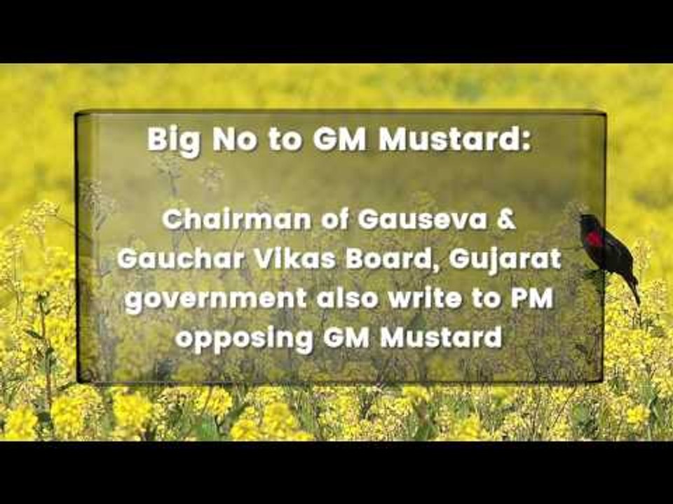 Experts Warn PM On GM Mustard
