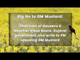 Experts Warn PM On GM Mustard