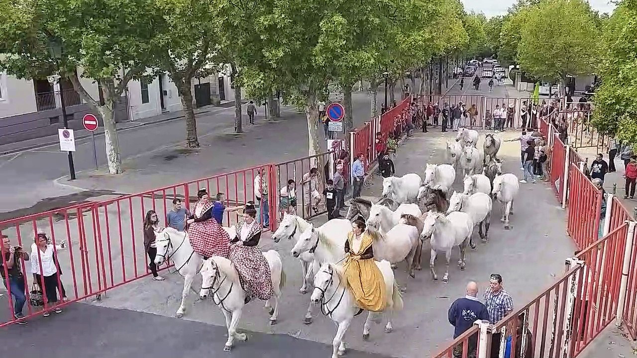 Vauvert : ambiance à la finale du trophée de l'avenir