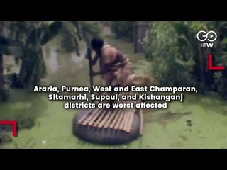 Bihar Flood Situation Critical