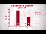 Economic Survey Red Flags Growth