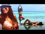Bipasha Basu And Karan Singh Grover Hot In Maldives Vacation 2015