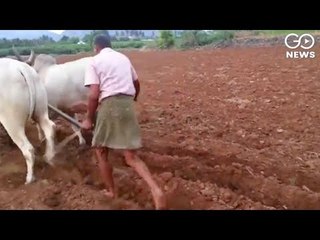 Loan Waivers Will Cost Economy