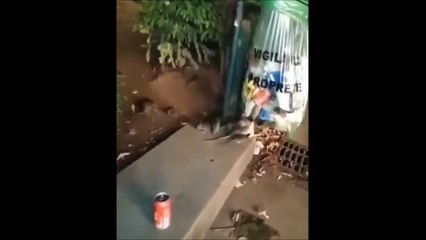 Non vous n'êtes pas dans un pays du tiers monde mais bien à paris