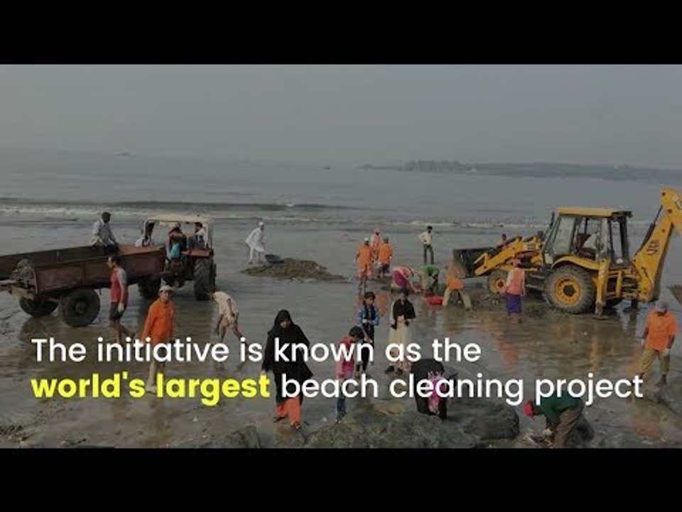 Versova Clean-Up Beached