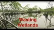 Wading Into Wetlands Act