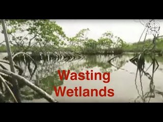 Wading Into Wetlands Act