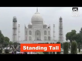 Taj Travesty