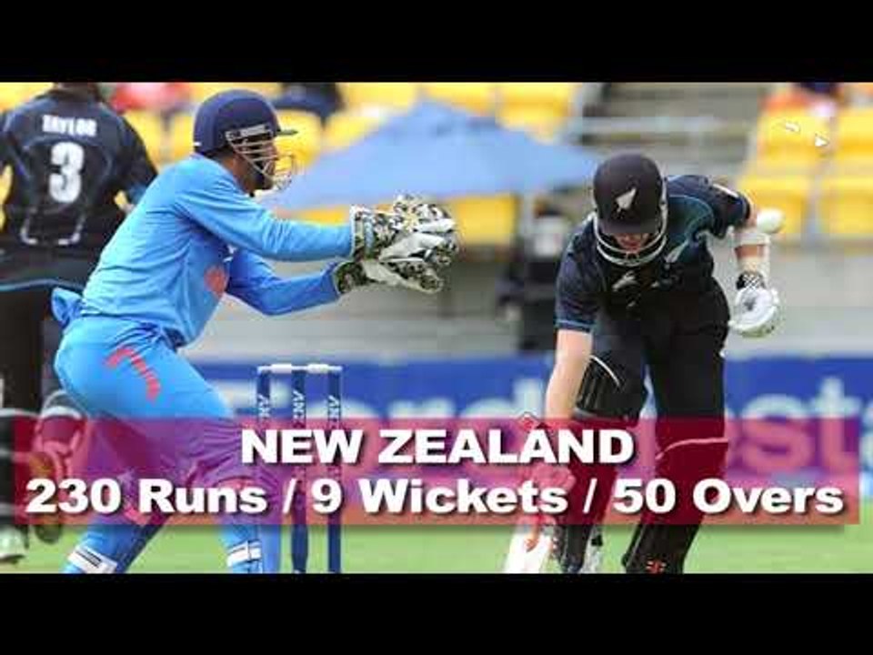 India Tame Kiwis