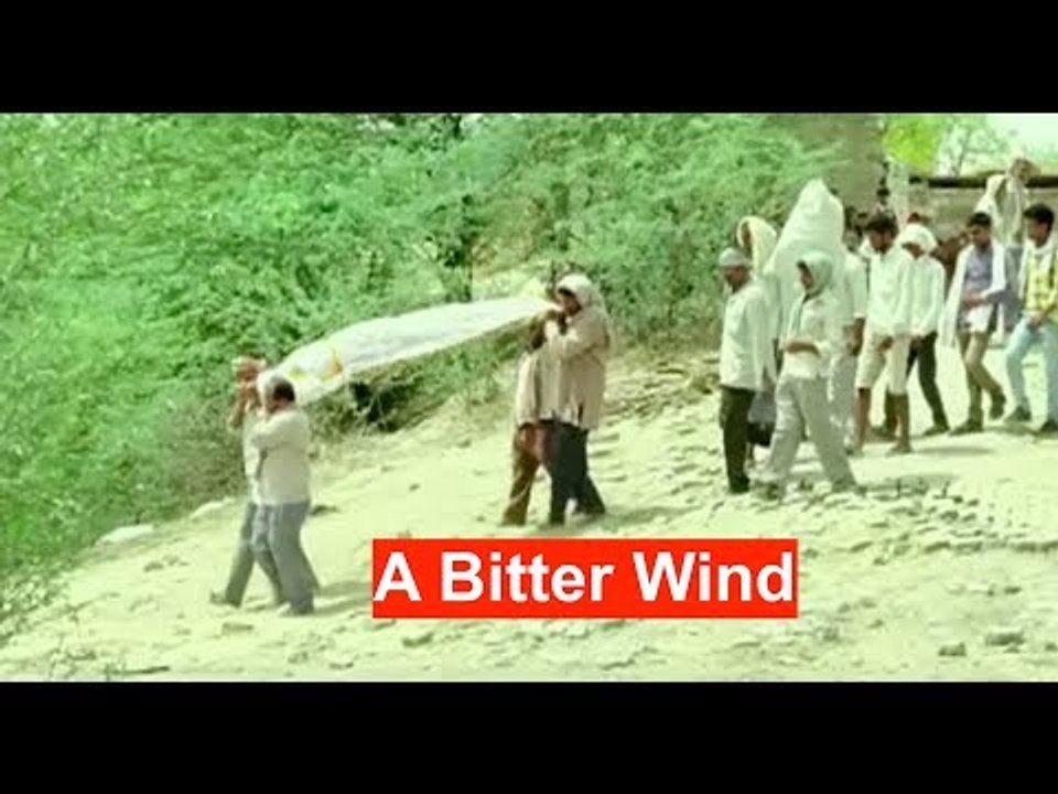 A Bitter Wind