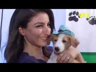 Soha Ali Khan SUPPORTS a cause for welfare of animals | World For All | SpotboyE