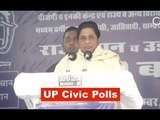 BJP Sweeps UP Polls, BSP Sneaks In