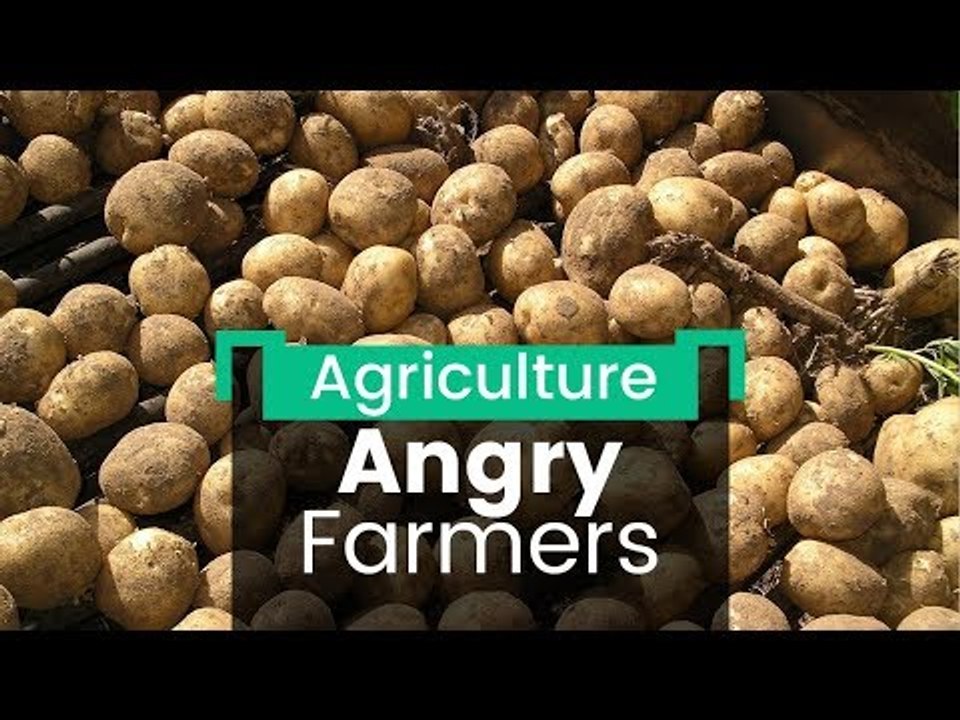 Potato Glut