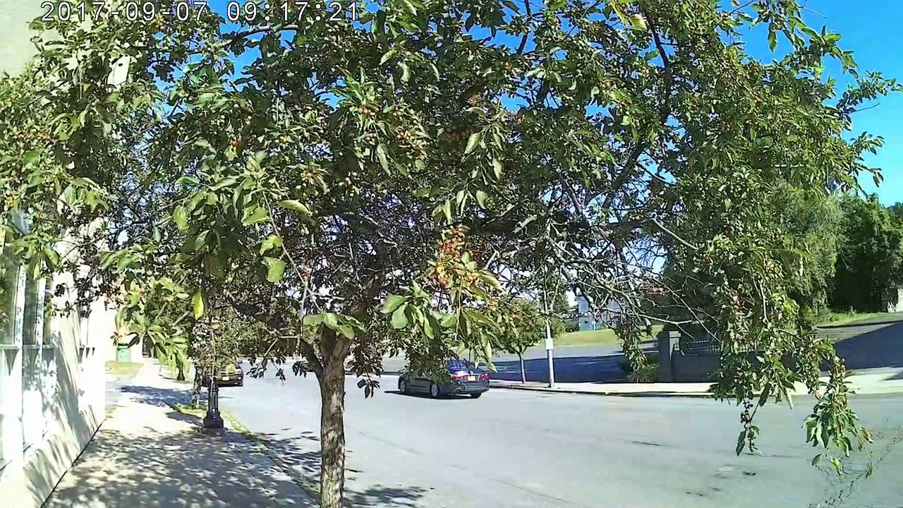 29 Fatima Pilgrimage walk across USA   #78  Aureisville NY Shrine over flowing with Holy Blood, come here