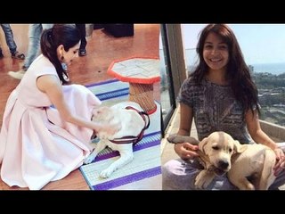 Dog Lover Anuskha Sharma WINS the PETA Award | SpotboyE