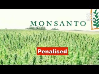 Monsanto Slapped With Fine