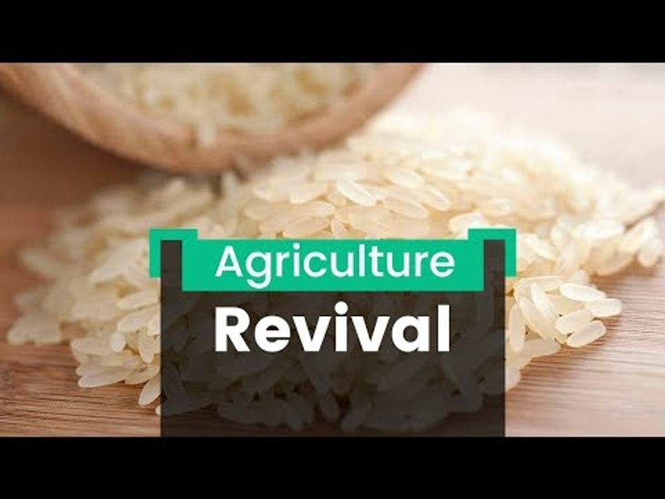 Nagaland Rice Project