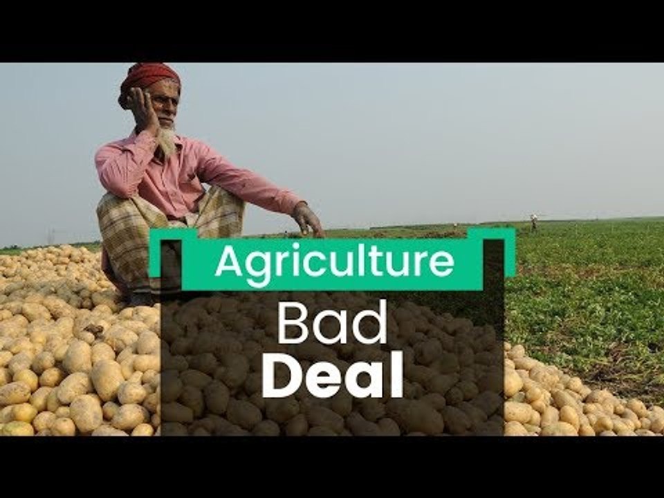 Potato Prices Mashed