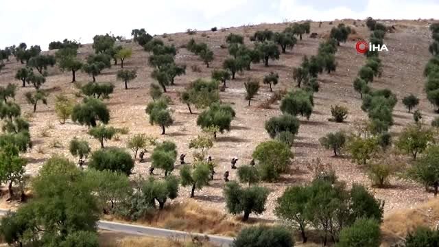 - Suriye Geçici Hükümetine bağlı Suriye Milli Ordusu'ndan PYD-PKK'ya gözdağı- Yaklaşık 400 özel...