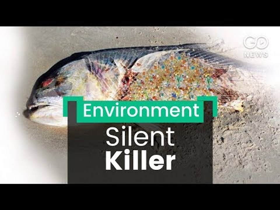 Your Toothbrush May Kill A Shark