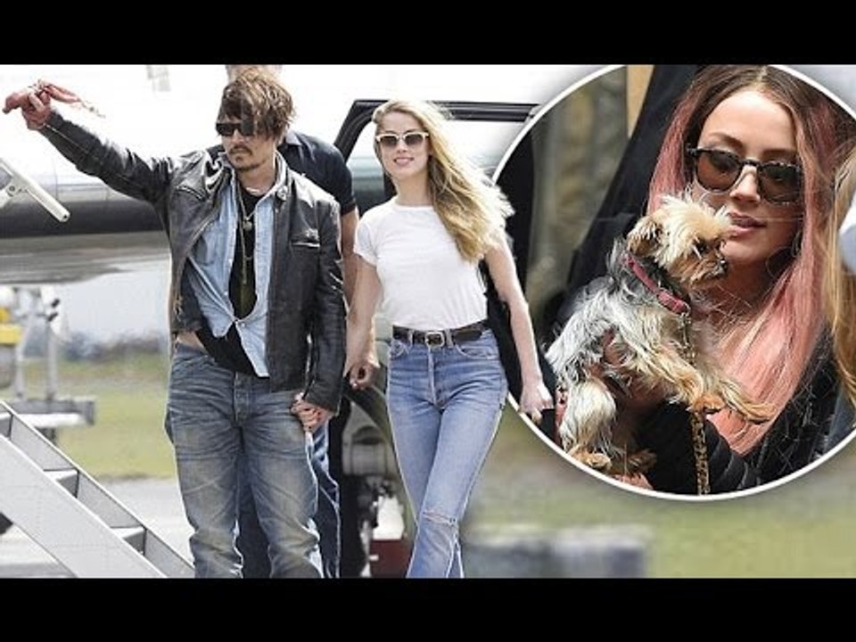 Johnny Depp –Amber Heard will not be JAILED | Hollywood High
