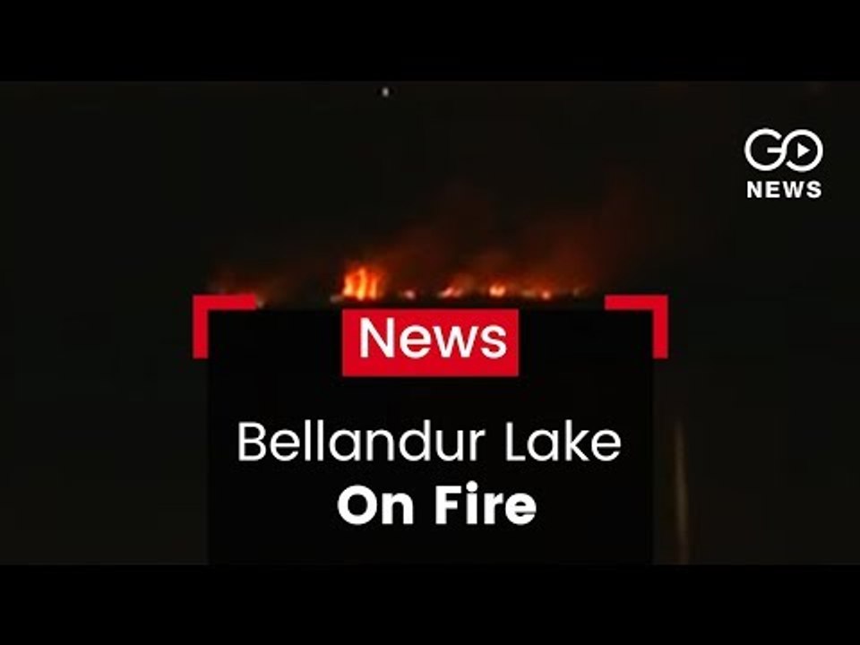 Bellandur Lake Catches Fire Again video Dailymotion