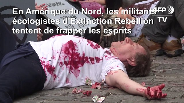 En Amérique du Nord, Extinction Rebellion cherche à frapper les esprits