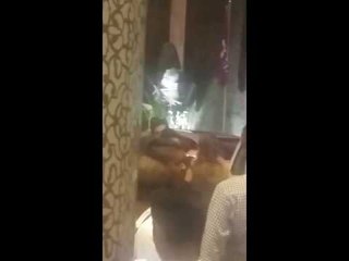 WATCH: Salman-Iulia make their FIRST OFFICIAL APPEARANCE as a couple | SpotboyE