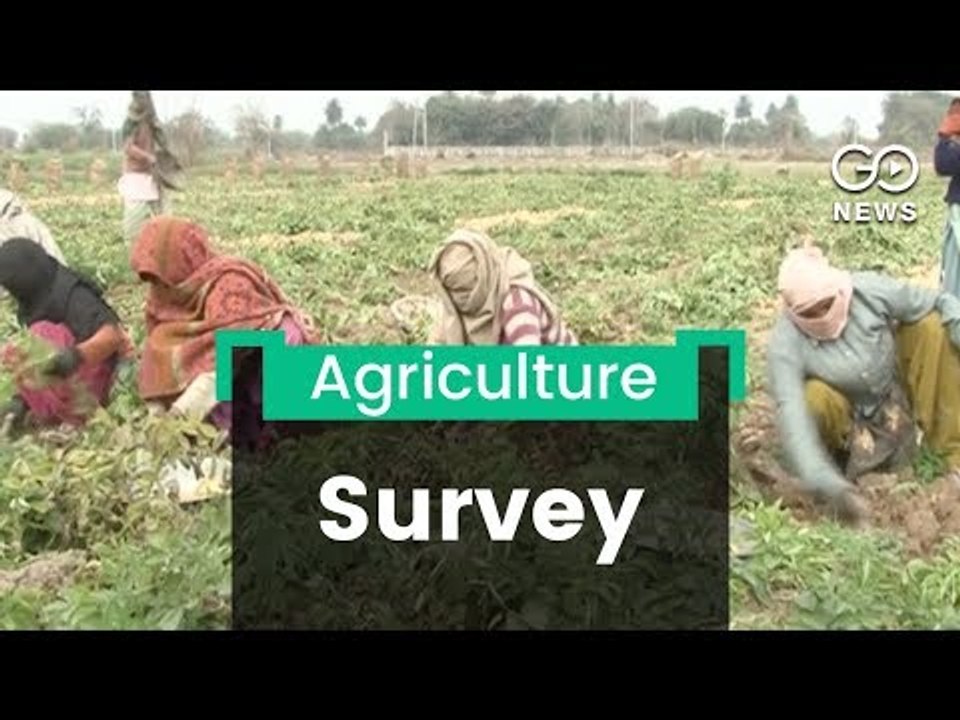 Farm Labourers' Neglect