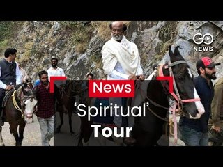 Superstar Seeks Solace