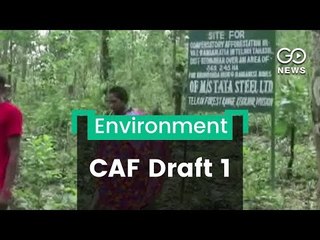 Opposition To CAF Draft