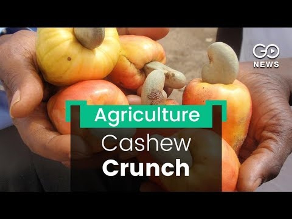 Kerala Cashew Crunch