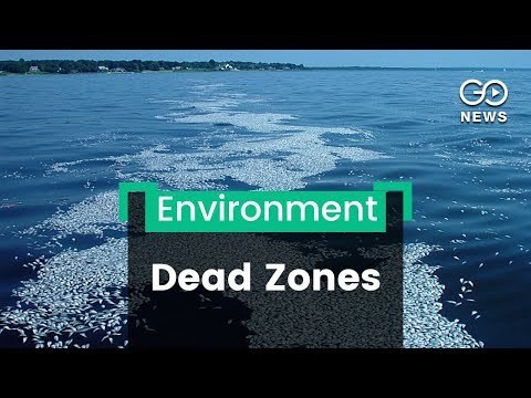 Ocean 'Dead Zones' Increasing